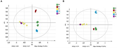 Screening of metabolic markers present in Oxytropis by UHPLC-Q-TOF/MS and preliminary pharmacophylogenetic investigation